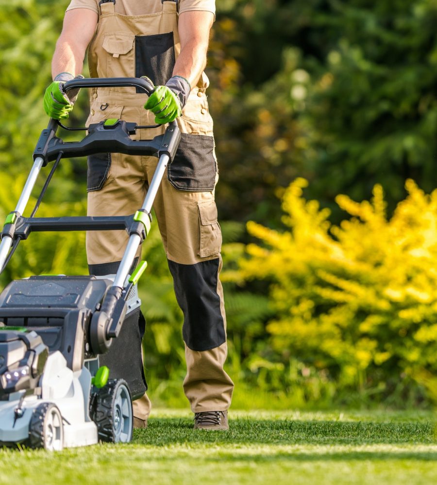 Garden Worker with Lawnmower Cutting Grass